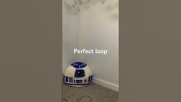 Perfect loop #funny #loop #makeup #satisfyingloop #skincare #endlessloop #perfectloop #relatablememe