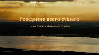 картинка: Документальный фильм «Река Хуанхэ обогащает Нинся：Рождение всего сущего» (50 минут)