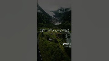 ليس على الاعمى حرج  ..  ياسر الدوسري.  راحه نفسيه القرآن الكريم؟ ❤🤲