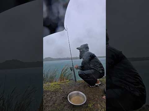 बारिश के मौसम में fishing का मज़ा लो⛈️🌧️⛈️🎣🎣 | #fishing #katlafishing #rainfishing