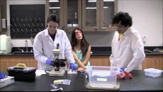 CSI - PCC