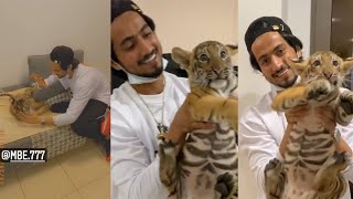 Mr Faisu Playing With Tiger  in Dubai | Baby Tiger | Instagram