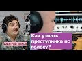 Дмитрий Быков /  Елена Голяшина (фоноскопист). Как ловят преступников по голосу