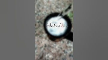 سورة النور ــ الشيخ/احمد النفيس (◔‿◔)