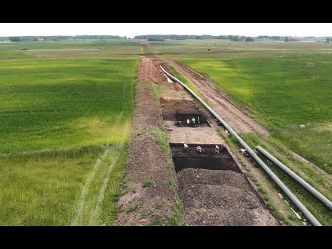 Video: Kaip Praleista Archeologų Diena