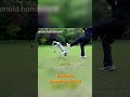 Spot vs. B2: Robot Dog Battle! AI Showdown!