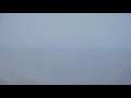 Oaklawn Racing Casino Resort Live Stream