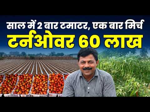 How This Gujarat Farmer Earns ₹50–70 Lakhs from 20 Acres | मिर्च-टमाटर की खेती का पूरा बिजनेस मॉडल🌶️