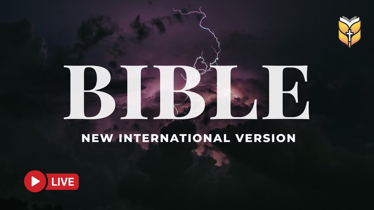 Holy Bible NIV – Words of Faith, Prayer, and Eternal Light 🔴 BibleVision LIVE
