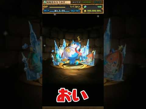 【パズドラ】大罪龍と鍵の勇者ガチャからペンギン出すぎ事件 #パズドラ #shorts