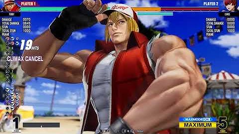 Terry Climax Cancel Combo