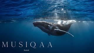 Kamal ⋄ Reiki Whale Song ⋄ Healing songs from the gentle giants of the deep