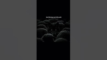 Unity is Power, But Courage is King | Sheep vs. Wolf Mindset