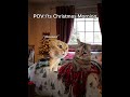 Parte in inglese 🎄🎅🏻| like se volete la parte in italiano |