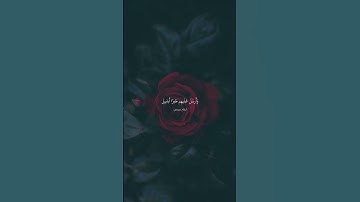 القارئ إسلام صبحي ألم تر كيف فعل ربك بأصحاب الفيل