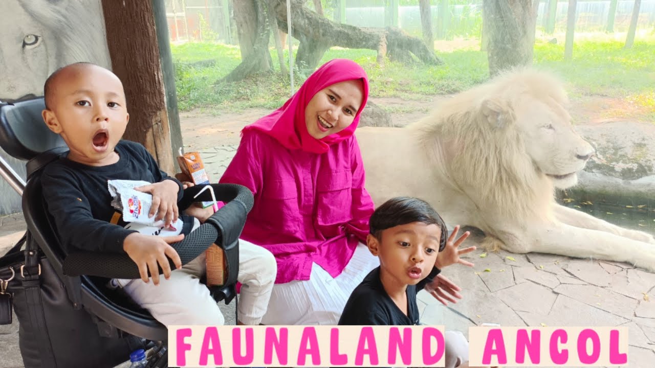 Faunaland Ancol | Seru Banget Bisa Berinteraksi Dengan Binatang