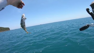 CÂU CÁ BIỂN QUY NHƠN CÙNG CÁC CAO THỦ  U70