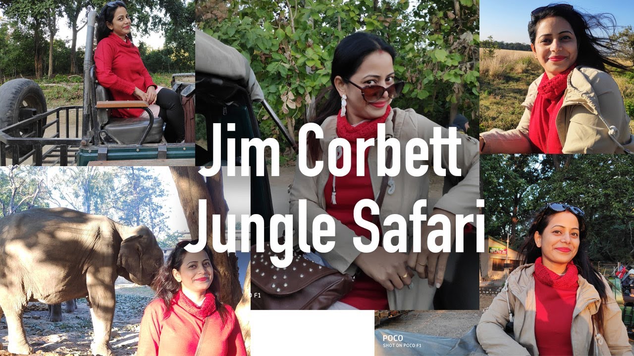 Jungle Safari at Jim Corbett National Park  | Tiger Safari | Travel Vlog | Indian Vlog | Hindi Vlog
