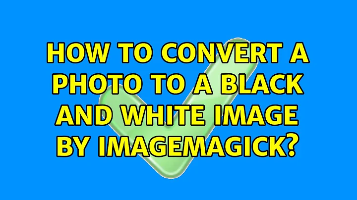 How to convert a photo to a black and white image by ImageMagick? (4 Solutions!!)