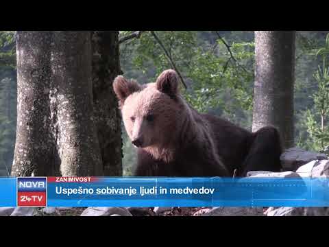 [Prispevek Slovenija] 07.08.2018 Nova24TV: Vročinski val se nadaljuje