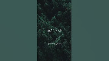 ماهر المعيقلي تلاوة خاشعة حالات واتس اب قرآن كريم/سورة النمل