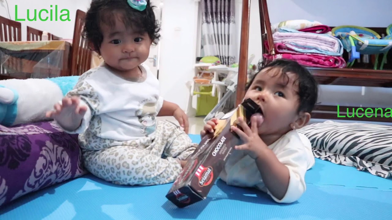  BAYI  KEMBAR LUCU  BERTENGKAR YouTube