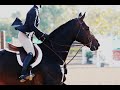 Phoenix || Equestrian Music Video (Lyrics)