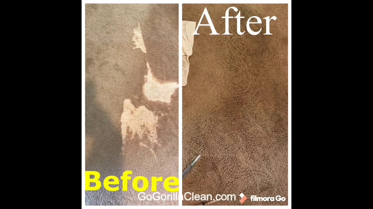 Carpet Dyeing Bleach Spot Repair Thousand Oaks Ca YouTube