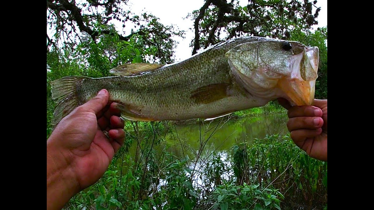 Bass Fishing a Roadside Dam in Bexar County Ep.49