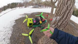 Treestyle sesh | FPV Drone vlog