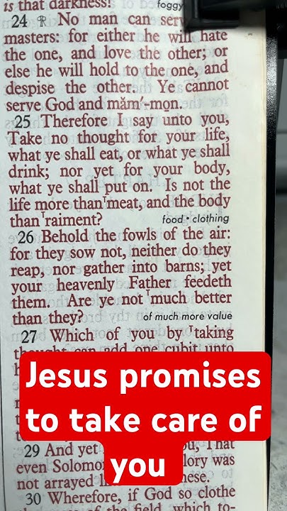 Trust In God Matthew Chapter 6 Verse 25 YouTube trust-in-god-matthew-chapter-6-verse-25-youtube