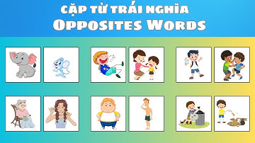 Học tiếng Anh chủ đề Cặp từ trái nghĩa | Opposites Words | Oh Vui Kids