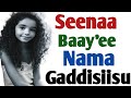 Seenaa Baay Ee Nama Gaddisiisu 
