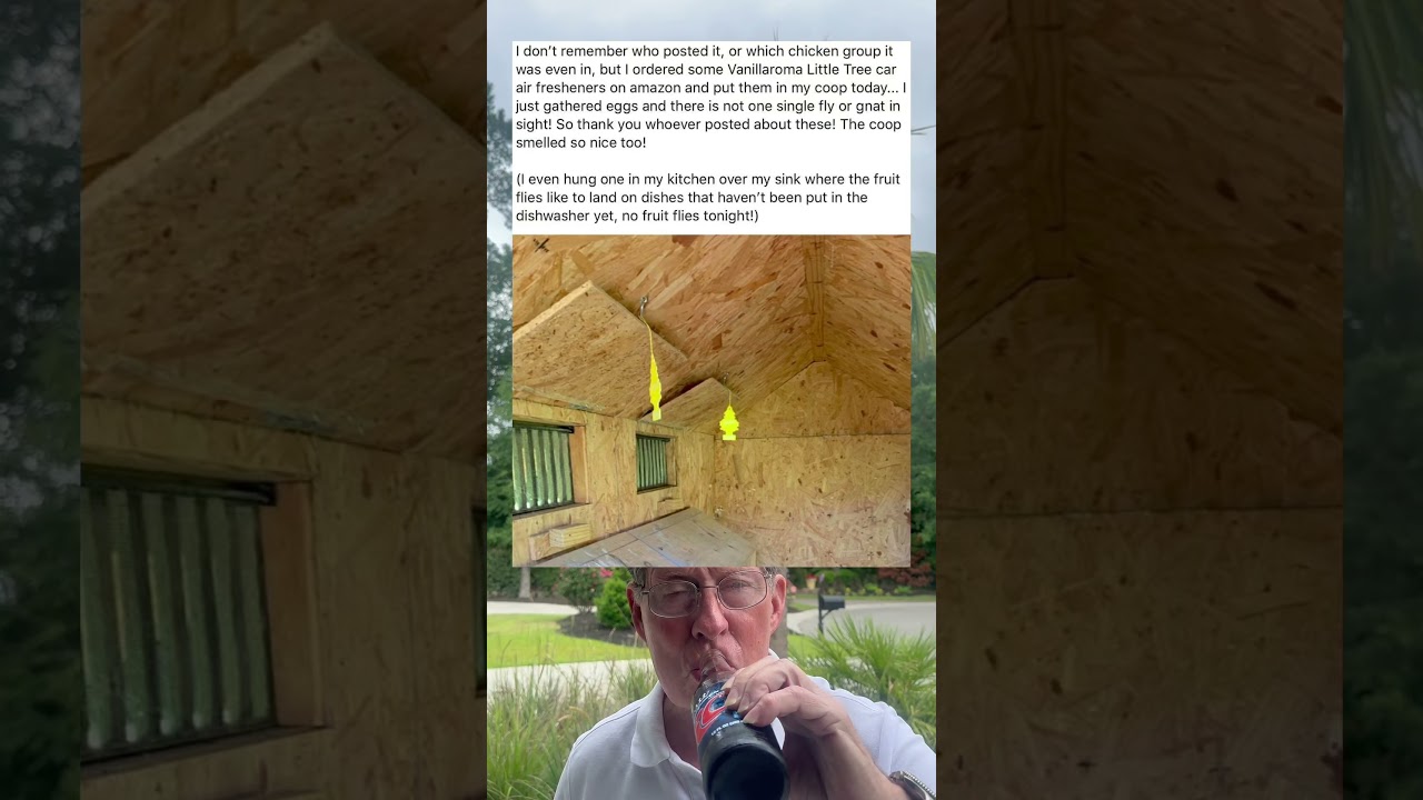 I Ordered Some Vanillaroma Little Tree Car Air Fresheners on Amazon and Put Them in My Coop Today.