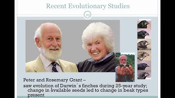 APES Chapter 5 Part 1