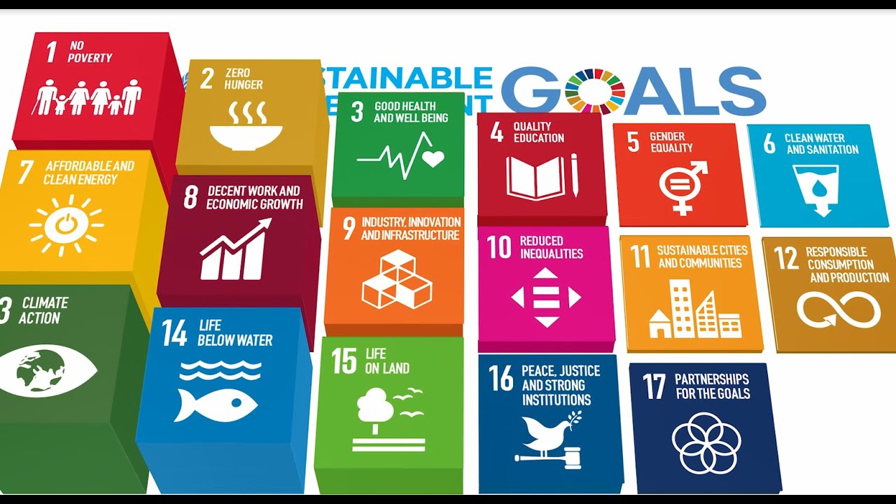 Priorités pour la mise en œuvre de l'Agenda 2030 - YouTube