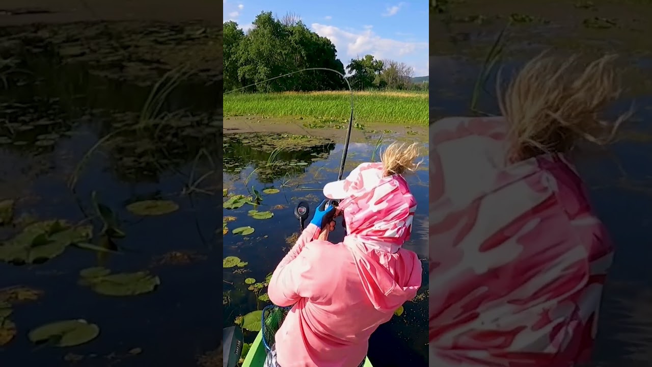 🐸Big Frog'n Backwaters🦾 