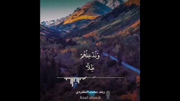 قرآن كريم بصوت رعد الكردي حالات واتس اب