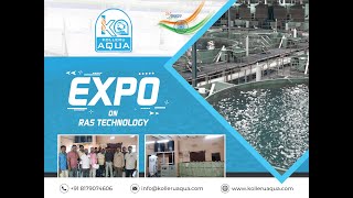 Ras Fish Farming Fish Farming In Recirculating Aqua Culture System Kolleru Aqua Automatic Ras