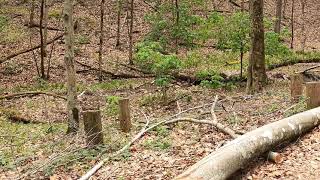 Lost Trail part 1