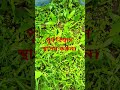 পূর্ণ বিশ্বাস স্থাপন করুন। #motivation #video #viral #fyp