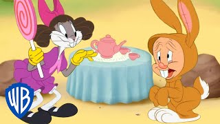 Looney Tunes | It's a Tea Party! | @wbkids​