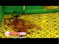 Masrah Al Jarima Sur Medi1TV Ce Soir à 21h15 