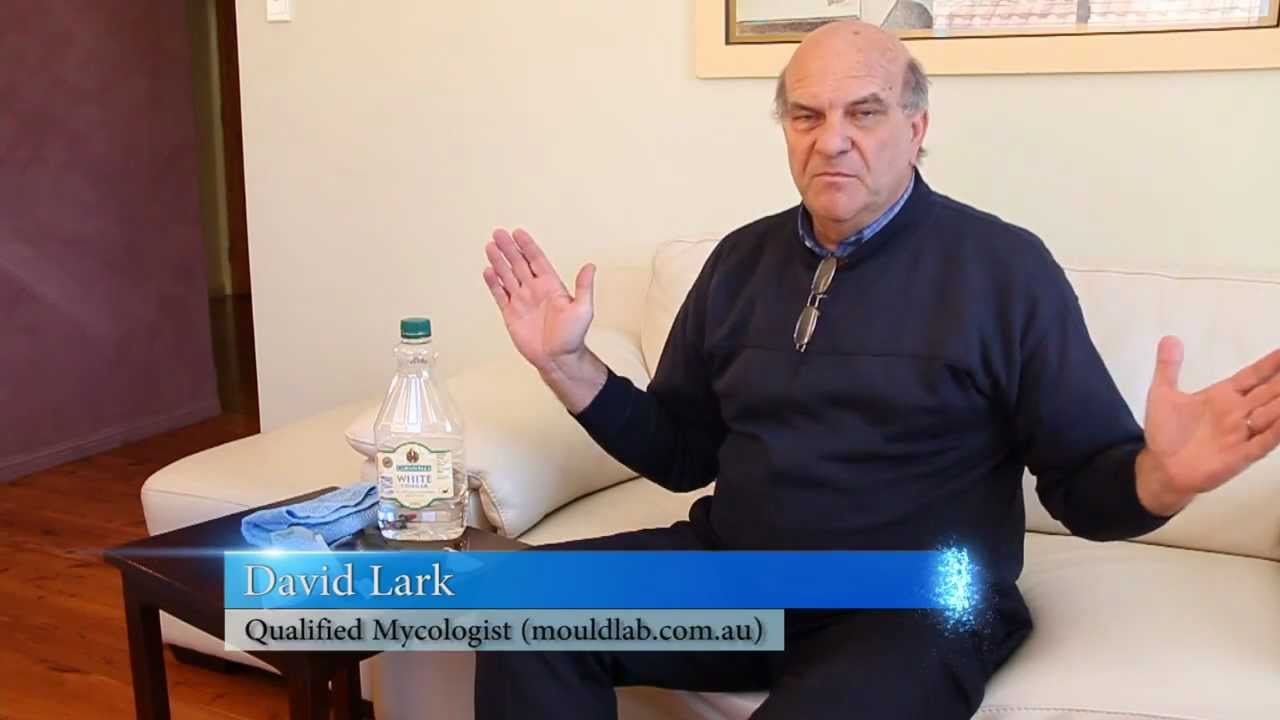 How to Clean Mould (Mould Lab)