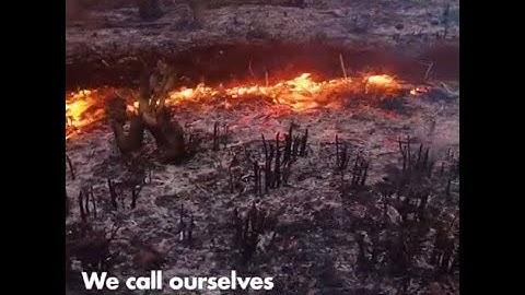 This is what our commitment to the Sustainable Development Goals looks like.