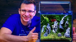 BETTA FISH TANK SETUP  NONCO2 AQUASCAPE WITH BUILTIN FILTER