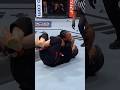 【珍技！脚による腕固め“脚蛇固め”】甲賀流柔術 vs 総合格闘技 #kyakuja-gatame #KokaJujutsu #MMA