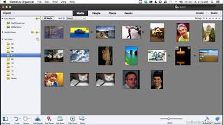 Loading The Exercise Files   Adobe Photoshop Elements 12 Tutorial Video