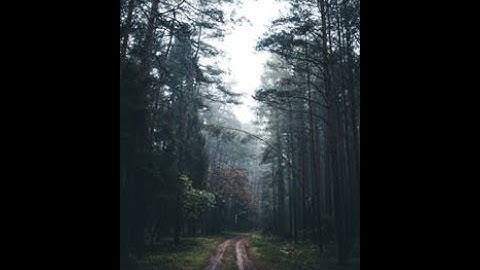 Responsorial Psalm  for Second Sunday of Advent, Year C