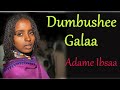 Dumbushee Galaa Adamee Ibsaa Walleelee Afaan Oromoo Kanneen Dhabaman Keeysaa Ragaamedia Dumbushee Galaa Adamee Ibsaa Walleelee Afaan Oromoo Kanneen Dhabaman Keeysaa Ragaamedia